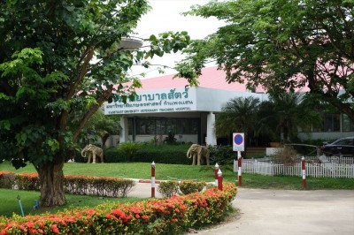 Kasetsart University Veterinary Hospital