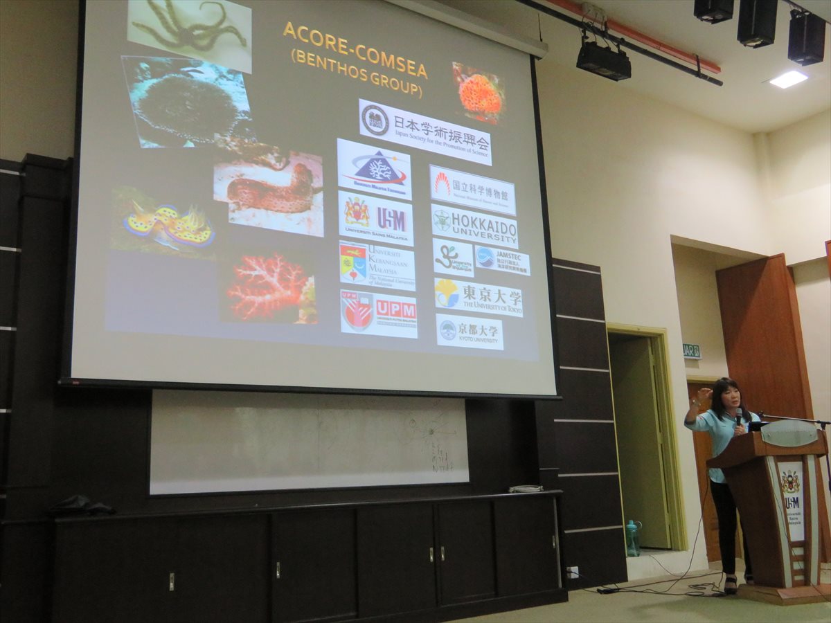 Prof. Dato’ Dr. Aileen Tan Shau Hwai, Director, Centre of Marine & Coastal Studies (CEMACS)